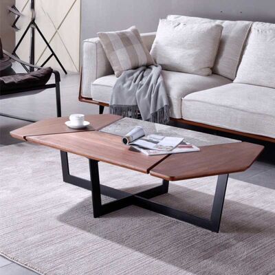 Minimalist Style Luxury Center Tables Retro Unique Shape Two Tone Color Palette