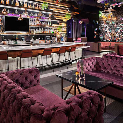 お買い得 ビロード紫色クラブ ラウンジのソファーの古典ボタンの房状になっているビストロのソファー オンライン